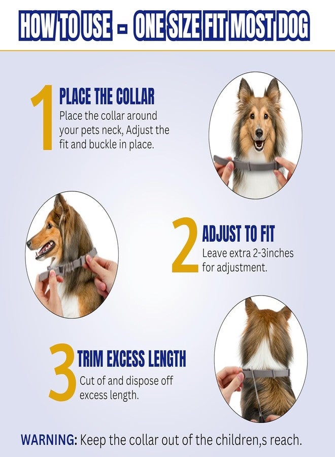 JD PRO | Adjustable Waterproof Flea & Tick Collar for Dogs - 8-Month Protection with Natural, Safe Ingredients | Adjustable, Safe, and Water-Resistant Dog Collar for All Breeds | (Pack of 1) - Image 5